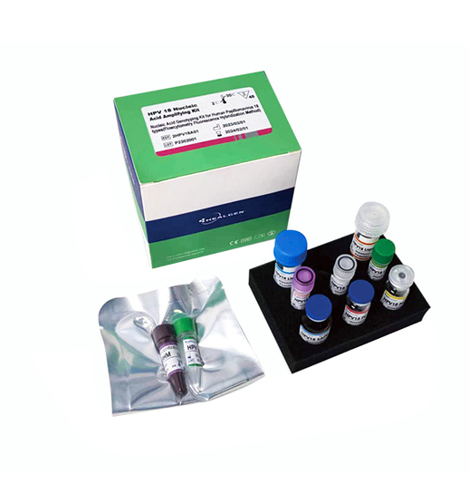 HPV
