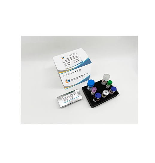 Respiratory Tract Infection Pathogens (RYT8)